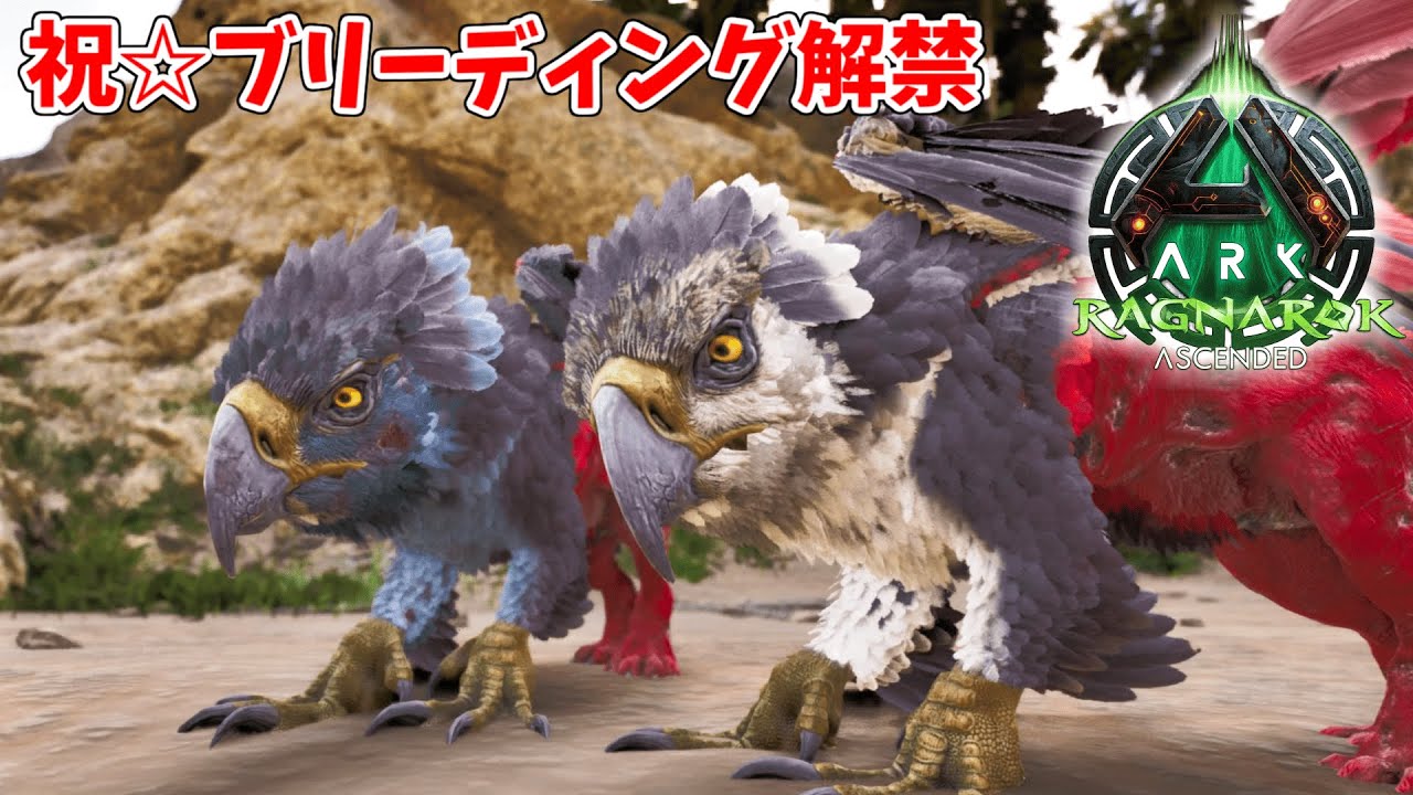 Griffin Ragnarok Ase 【ASA:Ragnarok】【PS5】#33 祝☆解禁!グリフィンがブリーディング解禁されて最強生物に!【ARK Survival ...
