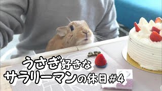 【Vlog】ウサギ好きなサラリーマンの休日＃４