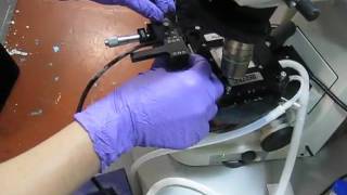 Instec cryo transfer