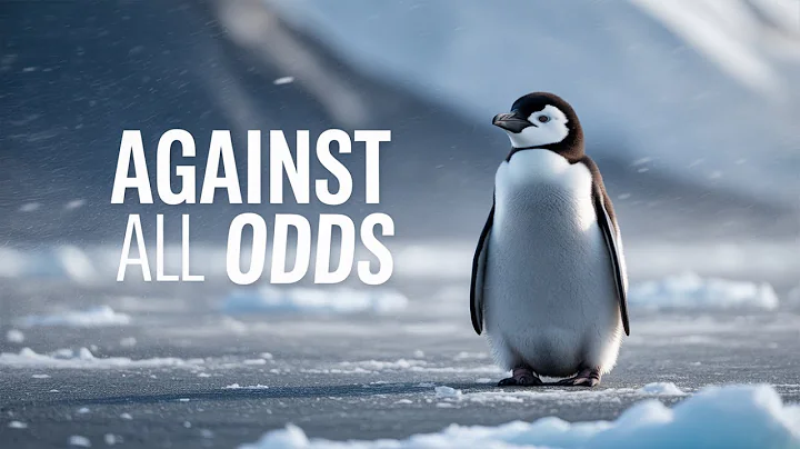 Heartwarming Penguin Tales: Life in the Antarctic You Never Knew!