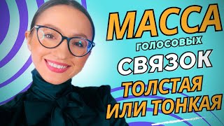 картинка: Режимы работы голосовых связок: Толстая масса и Тонкая масса