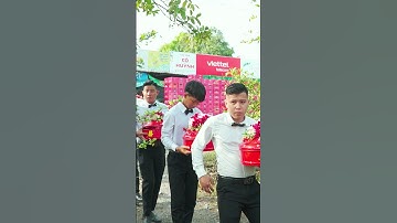 Đám cưới: Chú rể bước vào nhà gái rước dâu