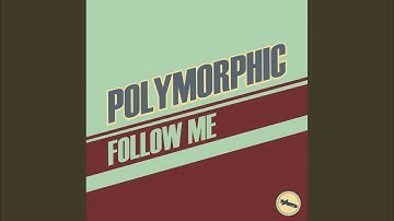 Follow Me (TWOB Remix)