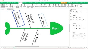 FISHBONE DIAGRAM BY EDRAWMIND