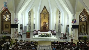 Giảng Lễ - CHÚA NHẬT TUẦN III THƯỜNG NIÊN NĂM C - 20g00 - 26/01/2025 Lm Phaolô NGÔ VĂN PHI, CSsR