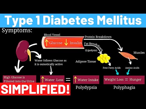 Video: Arfazetin-E - Instruksjoner For Bruk Av Samlingen For Diabetes Mellitus, Anmeldelser