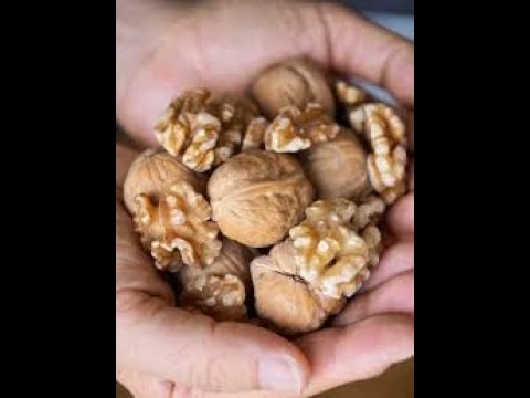 تفسير حلم رؤية اكل عين الجمل للشاب الاعزب في المنام