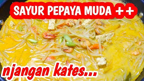 CARA MEMASAK SAYUR PEPAYA MUDA - Resep Sayur Lodeh Pepaya Muda
