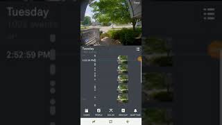 Ofallon mo  code enforcement  harassment  3 years  same guy