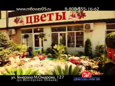 Долина Роз05 Грунт Долина Роз05 Грунт
