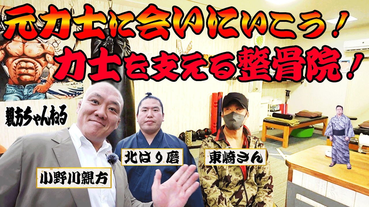 力士を支える柔道整復師!力士のネクストステージ!元力士に会いに行こう!東崎さん編! #相撲 #sumo