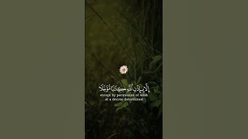 و ما كان لنفس أن تموت إلا بإذن الله كتابا مؤجلا || القارئ: ماهر المعيقلي