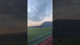 Sahada Sinek İstilası #keşfet