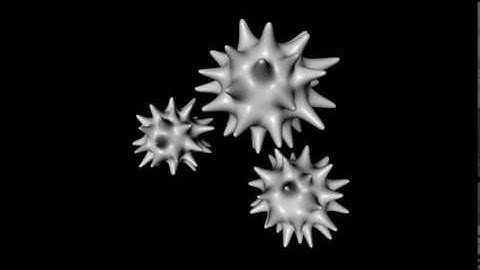 Virus 3D Model | Science / Medical 3D Models | max, 3ds, c4d, obj, lwo