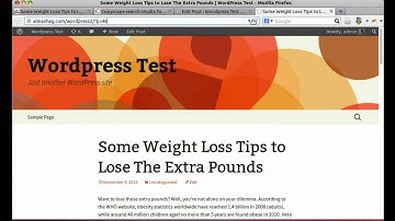 Wordpress auto spinner v2.0