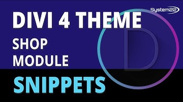 Divi 4 Shop Module 👍