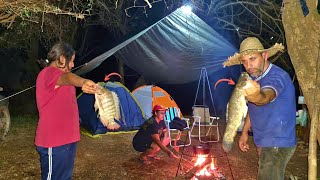 Acampamos e foi um Ataque atrás do outro pesca raiz bruta no corgo e no rio!!