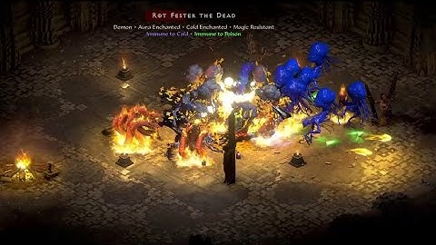 [D2R][2.4 PTR] Hydra Bench (5% Synergy)