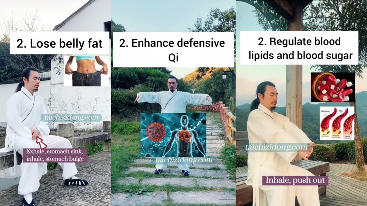Tai chi workout : Lose belly fat || enhance defensive qi || blood sugar || Wudang Zidong 