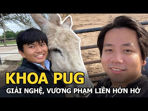 Video Khoa Pug vừa tuyên bố giải nghệ, Vương Phạm liền hớn... - youtube