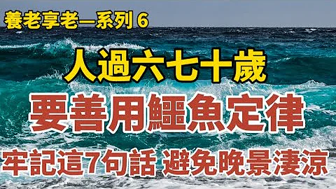 《人过六七十岁，要善用鳄鱼定律，记住这7句话，可避免晚清凄凉！》《人老后，如何度过每一天，三位老人坦言，掌握这几点，幸福晚年跑不了！》《人到晚年，最高明的活法，在这4个地方沉得住气，余生就赢了！》 - 天天要闻