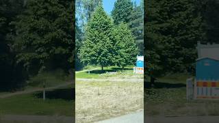 Live In The Sunshine