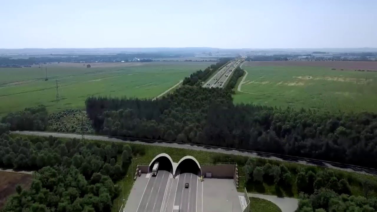 Pražský okruh se prodlouží o 12 km: V prosinci začíná stavba úseku mezi Běchovicemi a D1