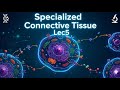احياء طبية طب اسنان مرحلة اولى (specialized connective tissue lec5)