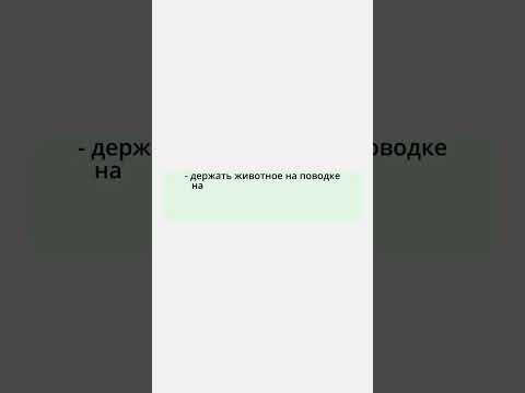 Какие есть правила выгула домашних животных? #shorts #юрист #право #закон #домашниеживотные