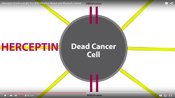 Herceptin (trastuzumab) for HER2-Positive Breast and Stomach Cancer
