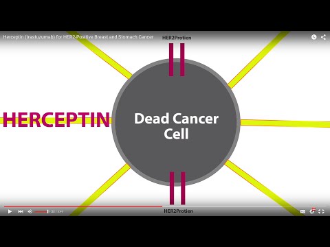 Herceptin (trastuzumab) for HER2-Positive Breast and Stomach Cancer