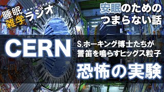 安眠のためのつまらない話 233 『CERN ホーキング博士が警鐘を鳴らすヒッグス粒子 恐怖の実験』【ラジオ系YouTube 睡眠 作業用】