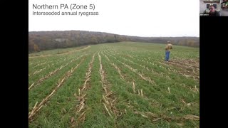 Interseeding Covers: Weed Management Considerations in Narrow- and Wide-Row Corn