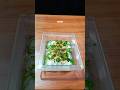 Cucumber Curd Salad #shorts #cucumber #easyrecipe
