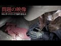 【実際の映像】心霊スポットで憑依され、意識を失った時の問題の映像