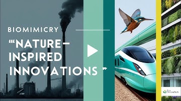 Biomimicry: How Nature Inspires Sustainable Innovations