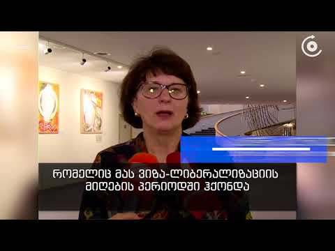 ევროპარლამენტის მტკიცე მხარდაჭერა საქართველოს ევროინტეგრაციის გზაზე   საგარეო საქმეთა მინისტრმა ბრიუ