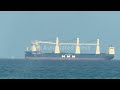 Expert says finalized US-Iran deal to open Strait of Hormuz could lower gas prices
