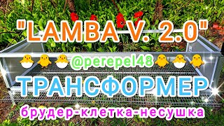 : : "Lamba V. 2.0":  # # # # # #