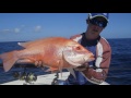 AFWM S3 Ep4C Mackerel Islands Spaniard HD