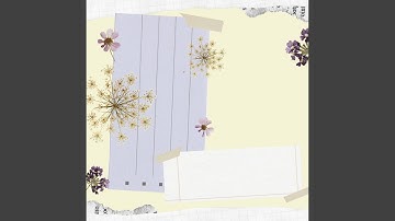 Alluring Backdrops for Ethereal Together