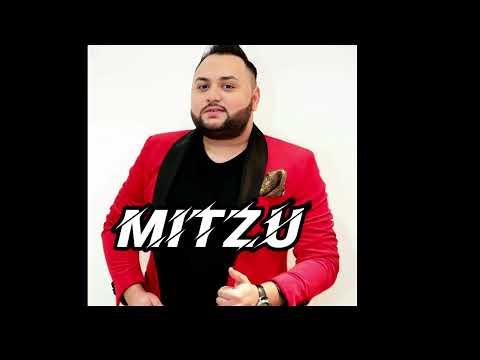 Mitzu din Salaj