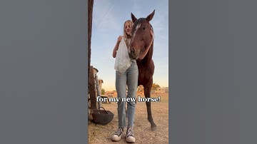 shopping for my new horse! #horses #western #shoppinghaul #shopping