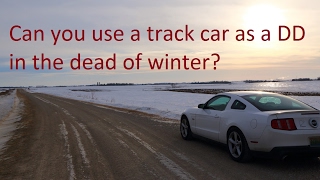 Mustang GT Blizzak WS80 Adventure Road Test!