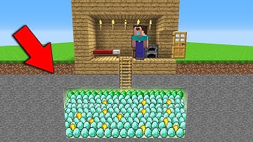 Minecraft Battle - NOOB vs PRO : CAN NOOB FIND TREASURES UNDER THIS HOUSE? (Animation)