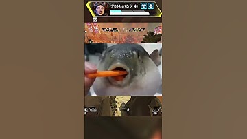 B34SERK3R CLIPS #apexlegends  #apexclips  #apexlegendsclips #apexlegendspro #gaming #apex APEX  149