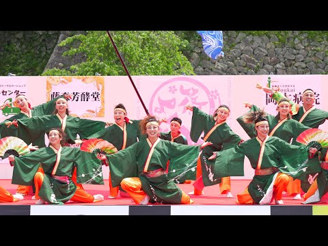 [4K] よさこい連「わ」（フリータイム演舞）　篠山よさこいまつり 2023 (中央)