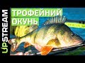 Рибалка на щуку. ТРОФЕЙНИЙ ОКУНЬ / Ловля щуки. ТРОФЕЙНЫЙ ОКУНЬ | UPSTREAM