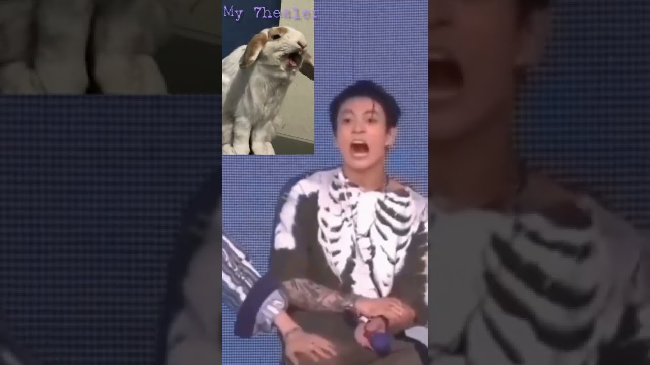 Jungkook as a Bunny 🐰🤩