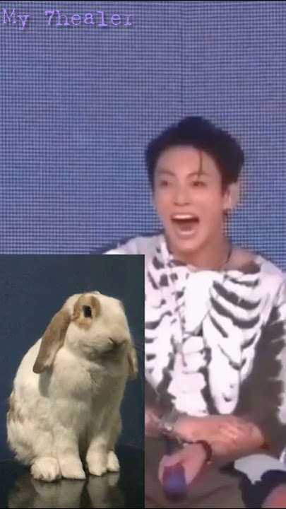 Jungkook sebagai Kelinci 🐰🤩